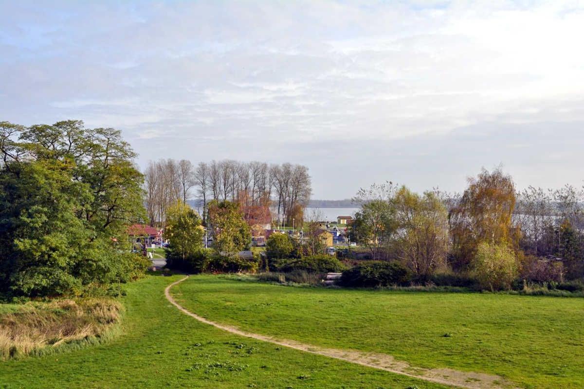 Reetdachhaus Im Fischerdorf Freest المظهر الخارجي الصورة